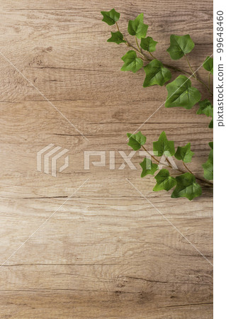 Ivy leaves on a wooden table 99648460