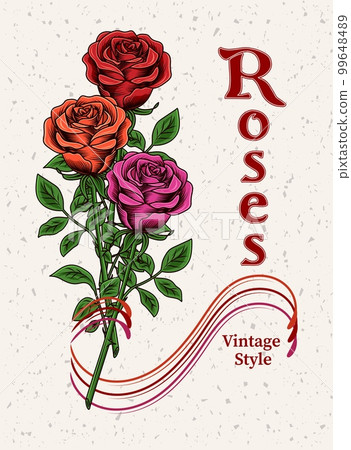 Vintage lush blooming red, magenta, orange roses with stem on textured background. 99648489