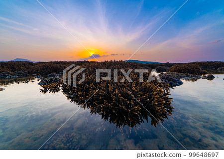 Beautiful sunset or sunrise seascape amazing cloud at sunrise light above the coral reef in Rawai sea Phuket Severe low tide corals growing in the shallows,Staghorn coral reef Beautiful sunset or sunrise seascape amazing cloud at sunrise light above the coral reef in Rawai sea Phuket Severe low tide corals growing in the shallows,Staghorn coral reef 99648697