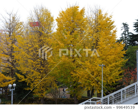 Walking around Tsudanuma 99649539