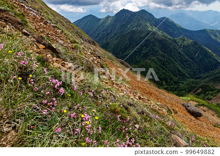 從高山植物盛開的八岳連峰和赤嶽山脊看到的阿彌陀山 從高山植物盛開的八岳連峰和赤嶽山脊看到的阿彌陀山 99649882