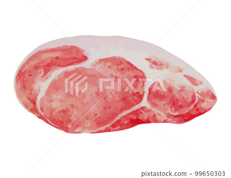 Meat watercolor illustration 99650303