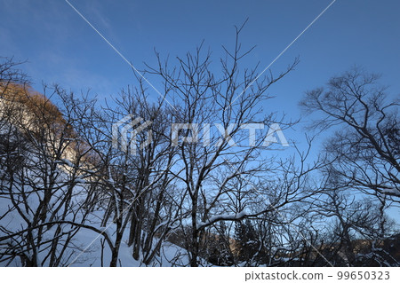 雪，天空，星星，感受冬天風景的旅行冬天的天空很容易改變Amenimo makezu Kenji Miyazawa 99650323