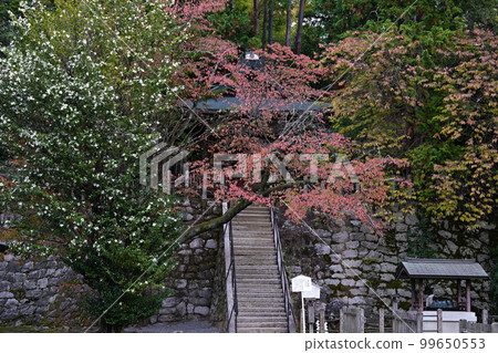 Yoshida Shrine Kyoto 99650553
