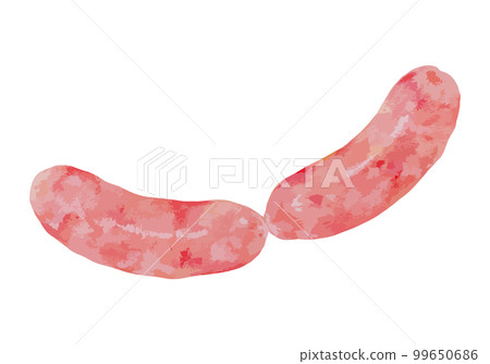 Sausage watercolor style illustration 99650686