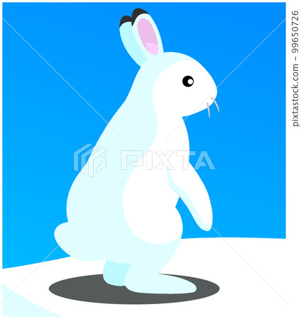 Azuki rabbit 99650726