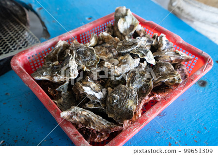 Oyster Oyster Grilled Oyster Tainan Chigu Taiwan Snack Grilled oyster オイスター 99651309