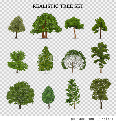 Realistic Trees Transparent Set Realistic Trees Transparent Set 99651323