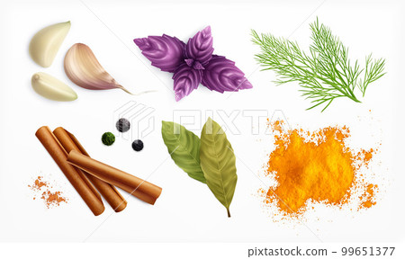 Spices And Herbs Realistic Set Spices And Herbs Realistic Set 99651377
