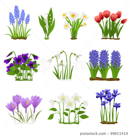 Spring Flowers Flat Set Spring Flowers Flat Set 99651419