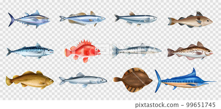 Sea Fish Transparent Set 99651745