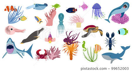 Underwater Inhabitabts Flat Set 99652003
