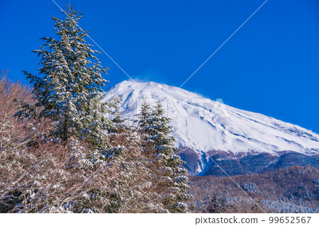 (Shizuoka Prefecture) A view of the summit of Mt. Fuji from the Mt. Fuji Skyline Nishiusuzuka parking lot on a snowy morning 99652567