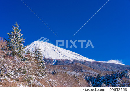 (Shizuoka Prefecture) A view of the summit of Mt. Fuji from the Mt. Fuji Skyline Nishiusuzuka parking lot on a snowy morning 99652568