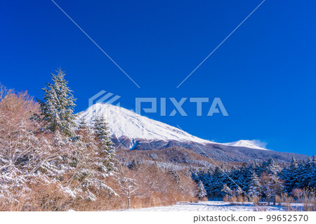 (靜岡縣)白雪皚皚的早晨,從富士山天際線西臼鈴鹿停車場眺望富士山頂 (靜岡縣)白雪皚皚的早晨,從富士山天際線西臼鈴鹿停車場眺望富士山頂 99652570