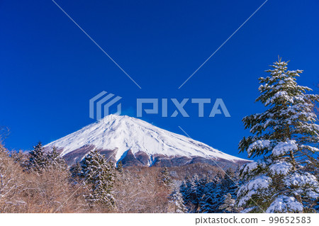 (Shizuoka Prefecture) A view of the summit of Mt. Fuji from the Mt. Fuji Skyline Nishiusuzuka parking lot on a snowy morning 99652583