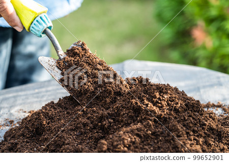 Gardener woman holding peat moss organic matter improve soil for agriculture organic plant growing, ecology concept. 99652901