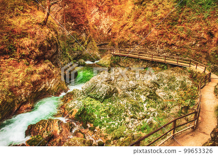 Vintgar gorge, Slovenia 99653326