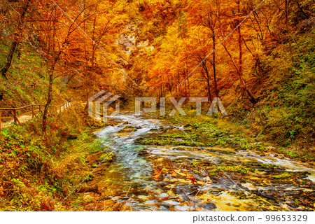 Vintgar gorge, Slovenia 99653329