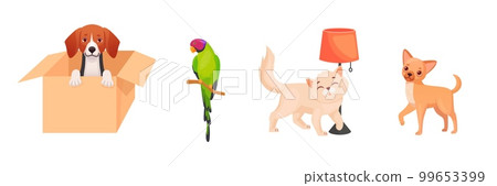Cartoon adoption pets. Adopted home pet, adoption homeless dogs rescue animal friends from shelter, puppy dog in box, adopt care petting cat and adorable bird vector illustration 99653399