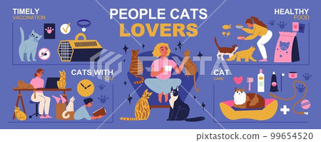 Cats Lovers Infographic Set 99654520