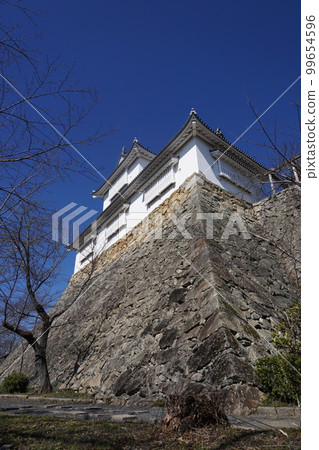“鶴山公園（津山城堡）”，岡山縣津山市最著名的100個櫻花景點之一：賓納卡山口 99654596