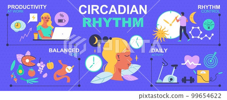 Circadian Rhythm Infographics 99654622
