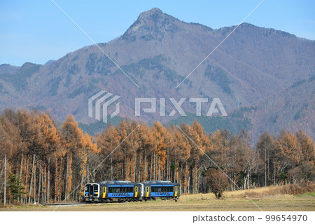 在秋色的日本落葉松林背景下，Koumi 線的本地火車運行 99654970
