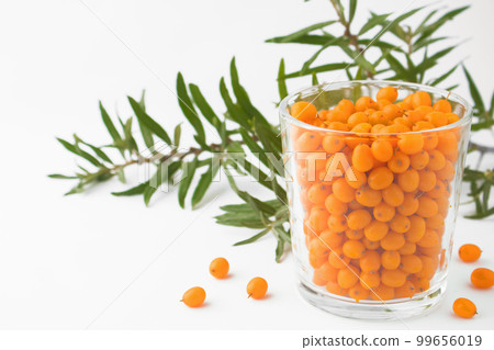 Sea buckthorn. Fresh ripe berries in a glass with leaves on a branch isolated on white background. Sea buckthorn. Fresh ripe berries in a glass with leaves on a branch isolated on white background. 99656019