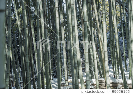 Emperor Hanazono Jurakuin Jurakuin Temple Bamboo Grove Approach (Higashiyama Ward, Kyoto City) Emperor Hanazono Jurakuin Jurakuin Temple Bamboo Grove Approach (Higashiyama Ward, Kyoto City) 99656165