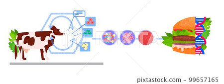 cultured beef burger made from animal cells artificial lab grown meat production concept horizontal 99657165