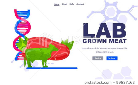 cell cultured veal meat artificial lab grown meat production concept horizontal copy space 99657168