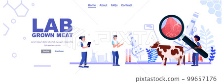 scientists analyzing cultured meat made from animal cells artificial lab grown meat production concept scientists analyzing cultured meat made from animal cells artificial lab grown meat production concept 99657176