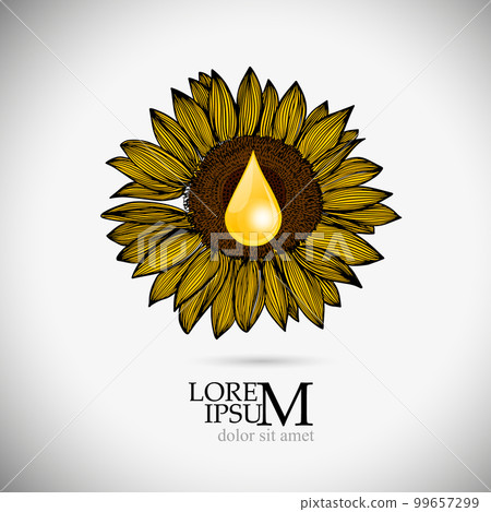 Graphic sunflower and oil drop. Vector illustration 99657299