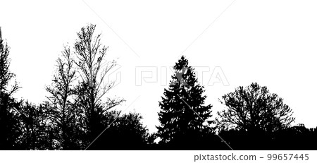 Forest silhouette . Tree silhouette panorama. Vector illustration 99657445