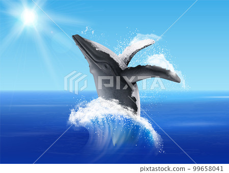 Jumping Whale Realistic Illustration 99658041