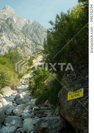 Pathway amidst trees into the woods of Leogang, Austria Pathway amidst trees into the woods of Leogang, Austria 99658294