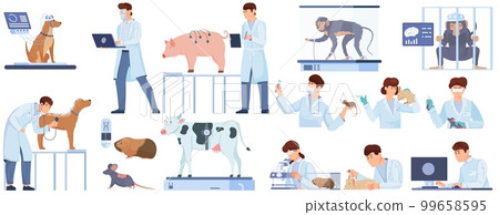Laboratory Experiments On Animal Set 99658595
