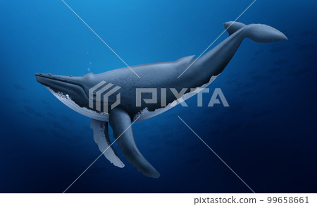 Whale At Depth Realistic Composition Whale At Depth Realistic Composition 99658661