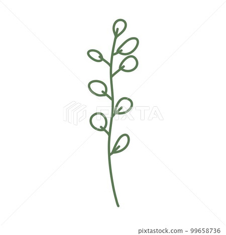 Hand drawn floral plant element, botanical leaves art in a glyph illustration design Hand drawn floral plant element, botanical leaves art in a glyph illustration design 99658736