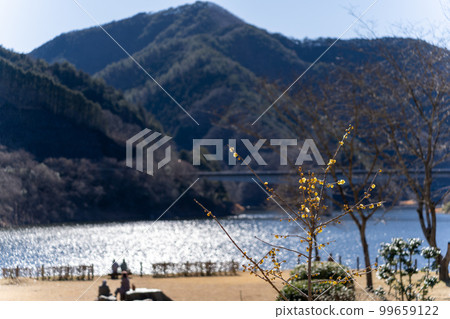 梅田湖五香粉公園 99659122