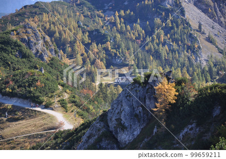 Small mountain pasture in the mountains around Berchtesgaden, near the Jenner mountain, Bavaria Small mountain pasture in the mountains around Berchtesgaden, near the Jenner mountain, Bavaria 99659211