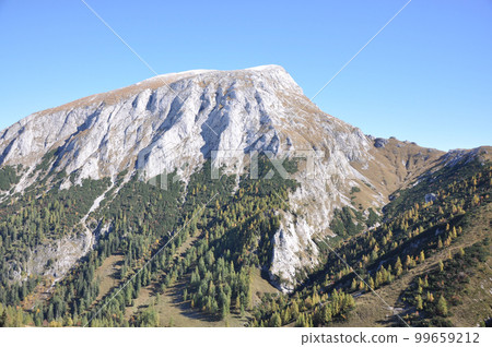 Alpine panorama near Berchtesgaden and Schonau in the Berchtesgadener Land in Bavaria, Germany 99659212