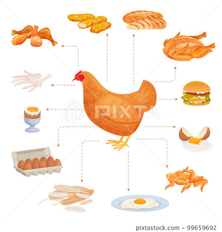 Chicken Products Flowchart Composition 99659692