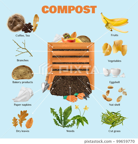 Compost Realistic Composition Compost Realistic Composition 99659770