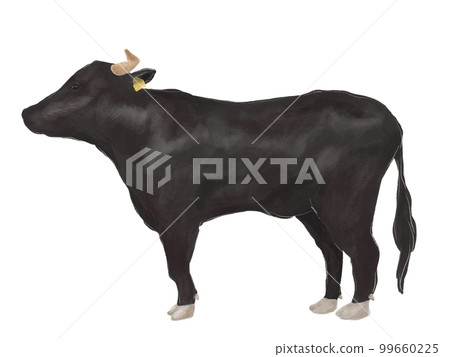 Japanese black beef illustration 99660225
