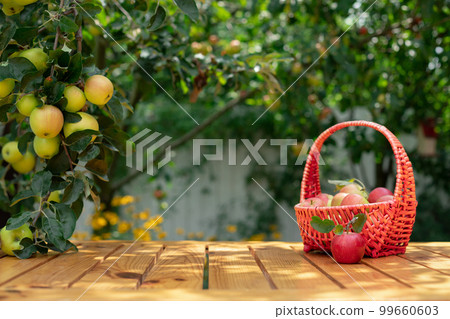 basket with red organic apples on a wooden table basket with red organic apples on a wooden table 99660603