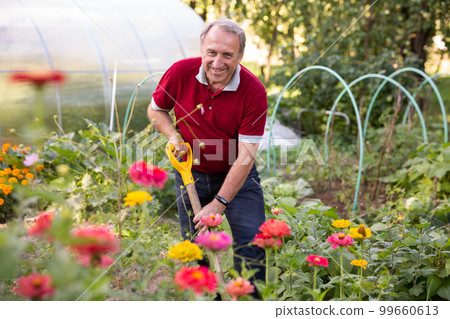 Portrait of an mature man with shovel in backyard of country house 99660613