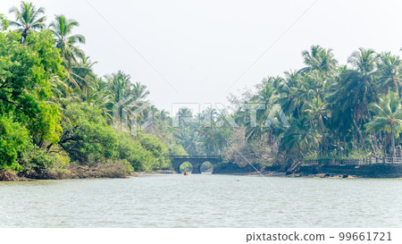 Backwaters of Kemmanu delta Backwaters of Kemmanu delta 99661721