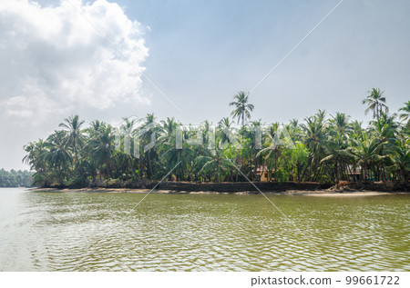 Backwaters of Kemmanu delta Backwaters of Kemmanu delta 99661722